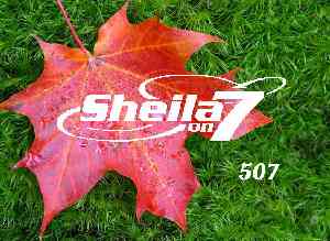 Sheila on 7 - 507 Images