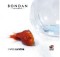 gambar Bondan Prakoso I Will Survive image gambar Bondan Prakoso I Will Survive image