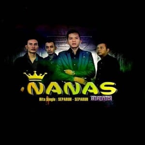 Lirik Lagu Nanas Band Separuh-Separuh
