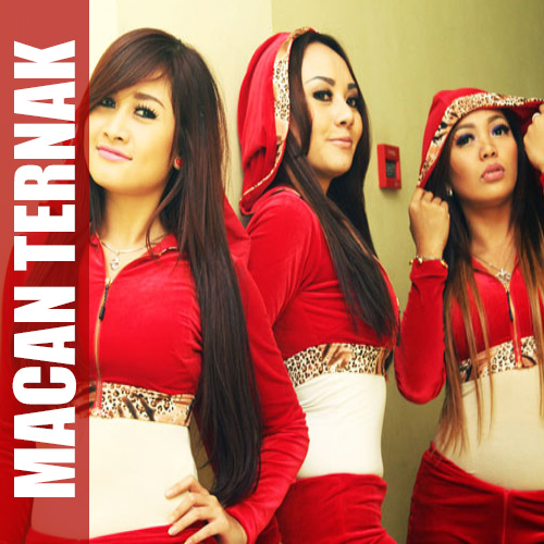gambar Trio Macan Macan Ternak image gambar Trio Macan Macan Ternak image