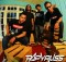 gambar Papyruss Perbedaan image gambar Papyruss Perbedaan image