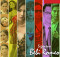 gambar Cakra Khan Bubar image gambar Cakra Khan Bubar image