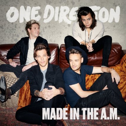 Lirik Lagu One Direction – Drag Me Down