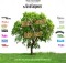 gambar Ran Wow!! image gambar Ran Wow!! image