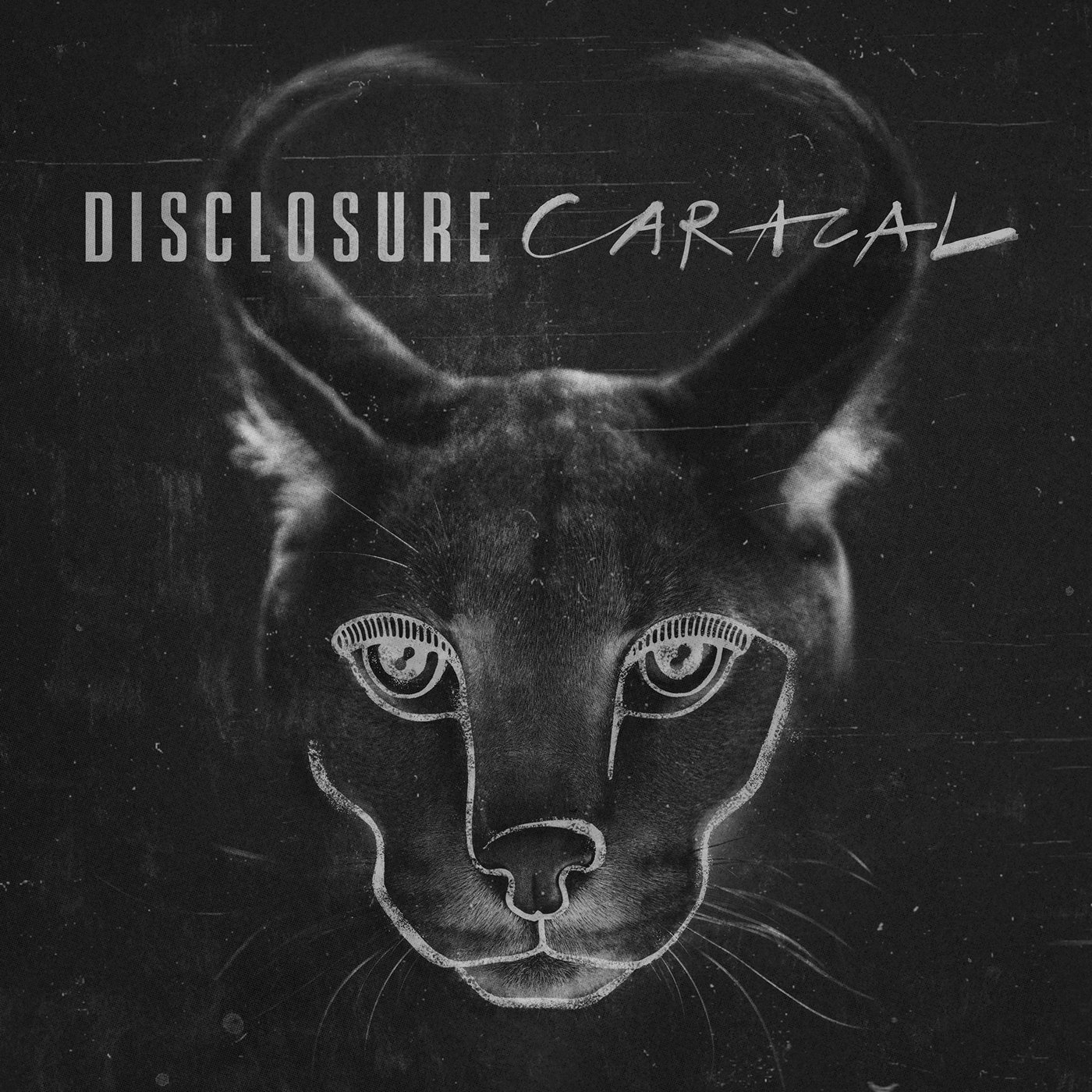 gambar Disclosure Holding On image gambar Disclosure Holding On image