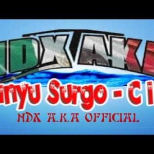 Lirik Lagu NDX A.K,A Banyu Surgo (Ciu)
