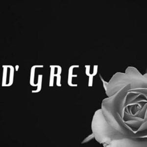 Lirik Lagu D’Grey Enter Aja