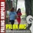 gambar Pilox MC Paling Jempolan image gambar Pilox MC Paling Jempolan image