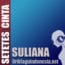 gambar Suliana Setetes Cinta (feat. Zein) image gambar Suliana Setetes Cinta (feat. Zein) image