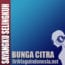 gambar Bunga Citra Sayangku Selingkuh image gambar Bunga Citra Sayangku Selingkuh image