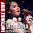 gambar Vita Alvia Jantunge Urip image gambar Vita Alvia Jantunge Urip image