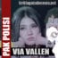 gambar Via Vallen Pak Polisi image gambar Via Vallen Pak Polisi image