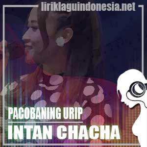 Lirik Lagu Intan Chacha Pacobaning Urip