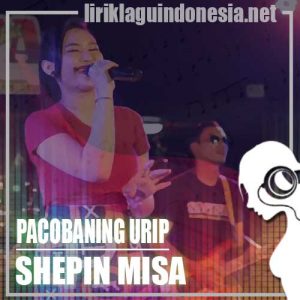 Lirik Lagu Shepin Misa Pacobaning Urip