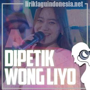 Lirik Lagu Vita Alvia Dipetik Wong Liyo